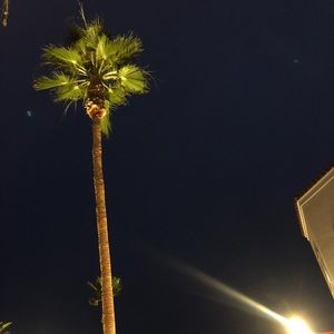 Meet your Posher, Rawan